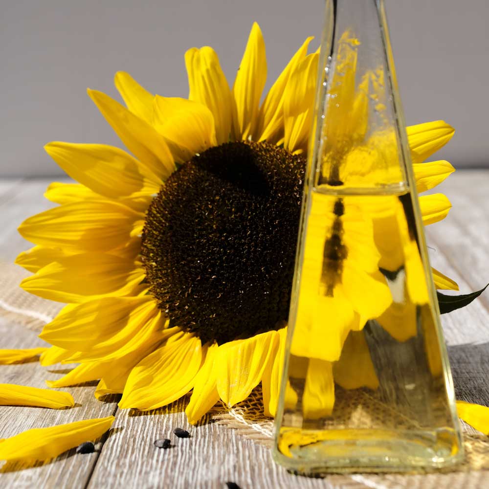 3-2-aceite-girasol-newolivofood-1000x1000px Pepinillos