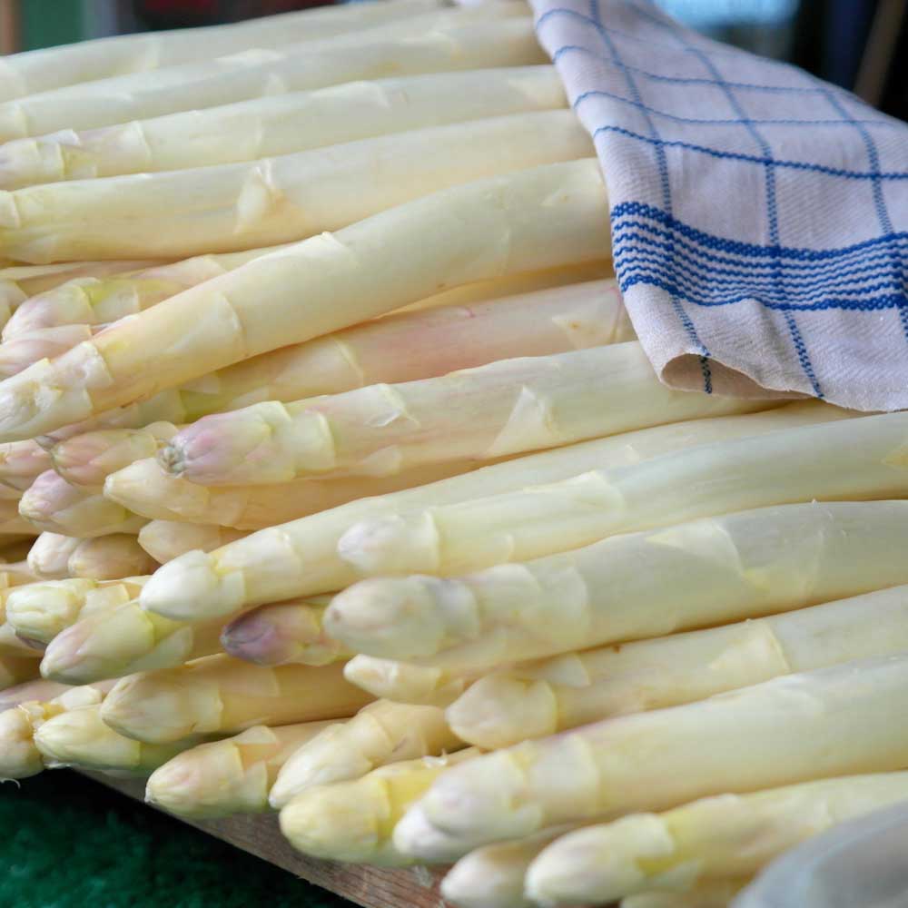 Pepinillos